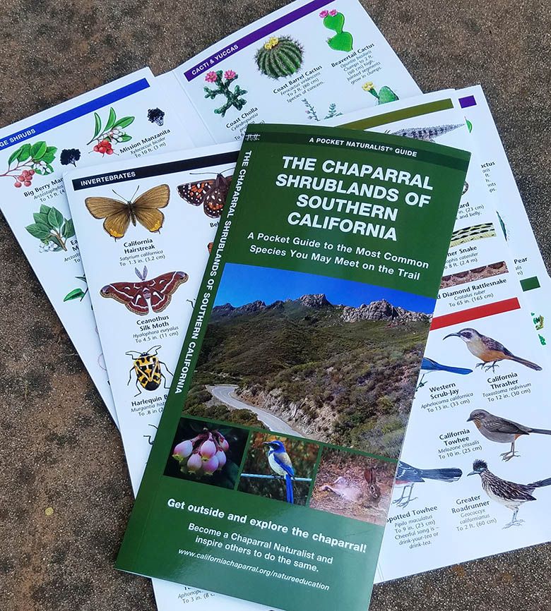 The most common plants and animals found in southern California chaparral.