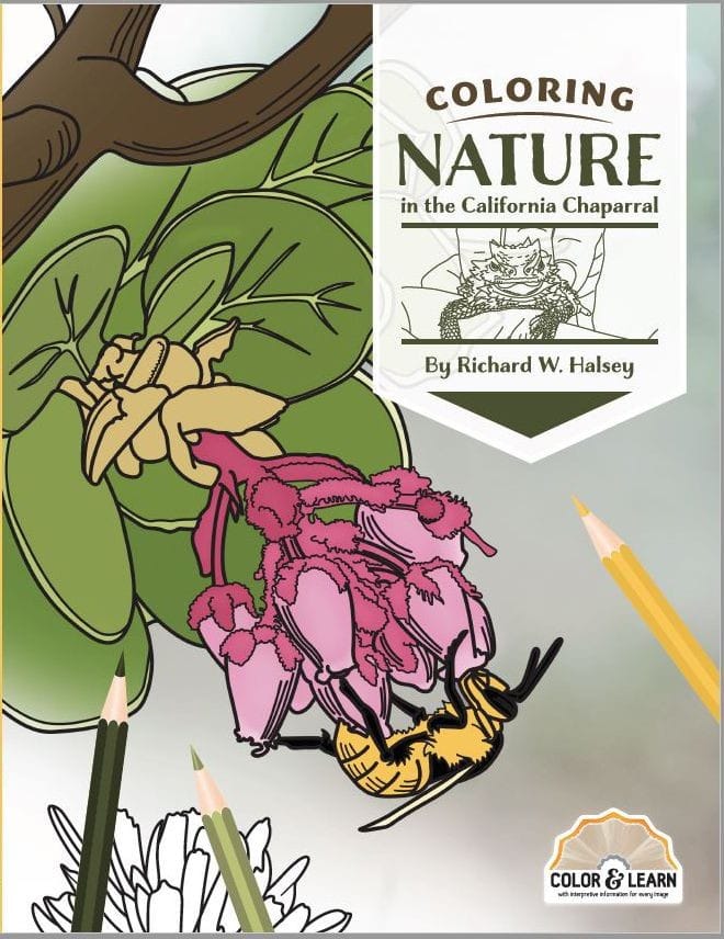 Coloring Nature in the California Chaparral, by R.W. Halsey
